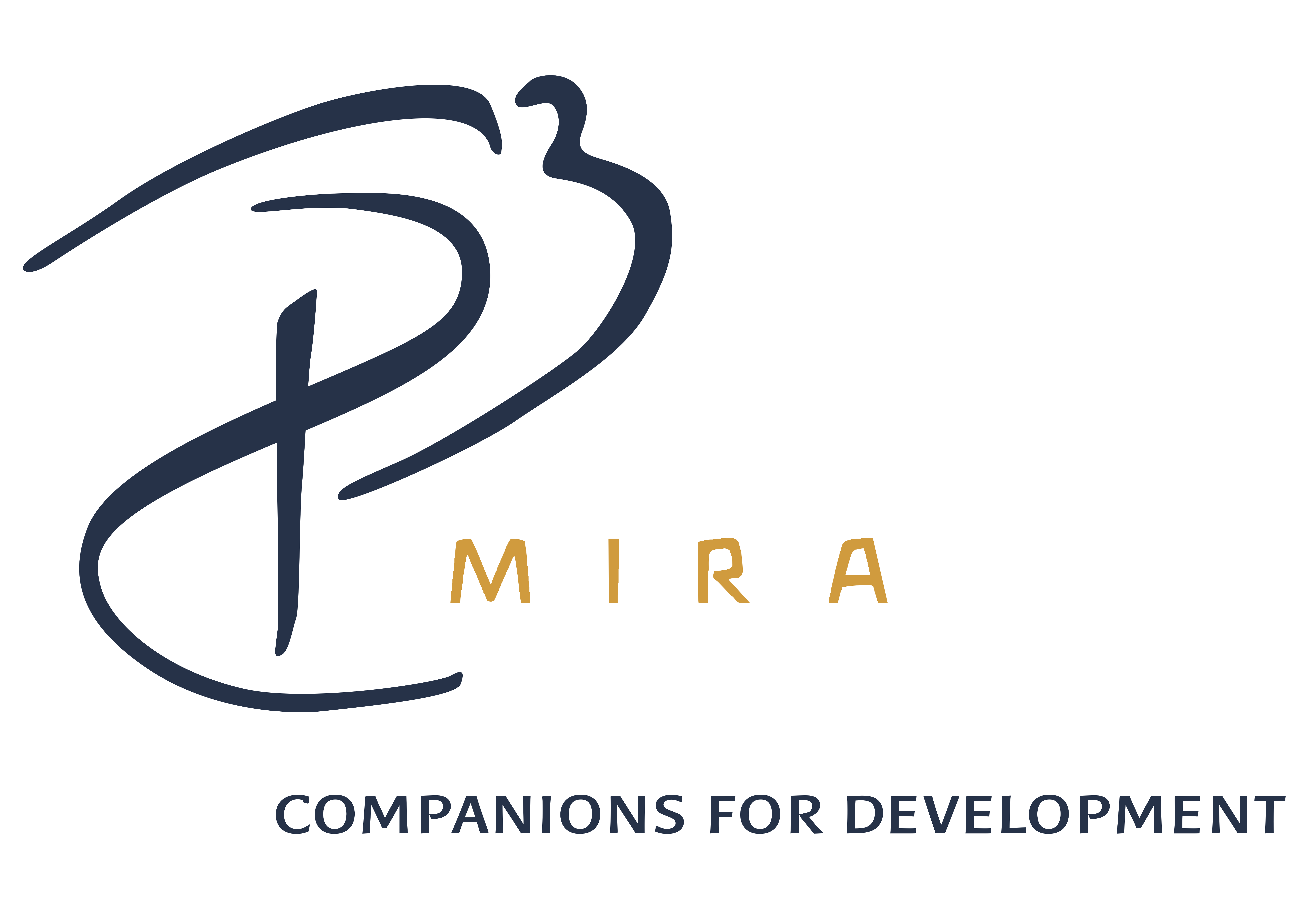 MIRA Companions | ES